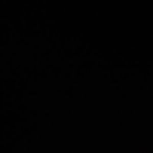 Meet your Posher, Gianna